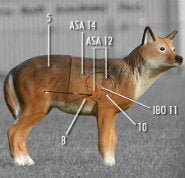 3D Archery Explained