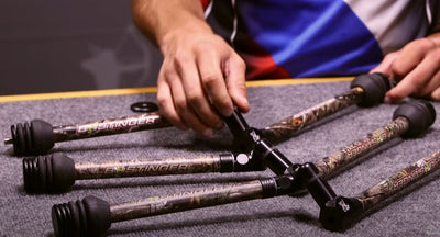 Bee Stinger Sport Hunter Xtreme 10.8 Kit