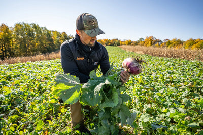 Planting Successful Food Plots