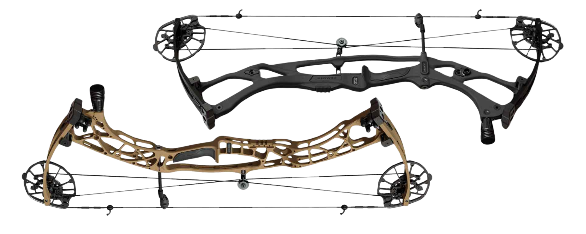 REVIEW 2024 Hoyt Carbon RX8 and Alpha X Lancaster Archery Supply