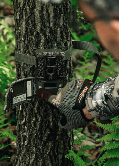 Cameras