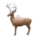 Morrell Transformer Buck 3D Target