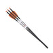 TenPoint Match 400 Carbon Crossbow Arrows 20