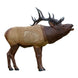 Rinehart 1/3 Scale Signature Elk 3D Target