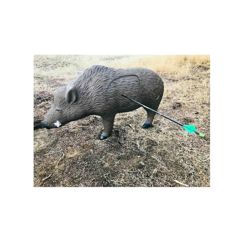 Rinehart Signature Boar 3D Target