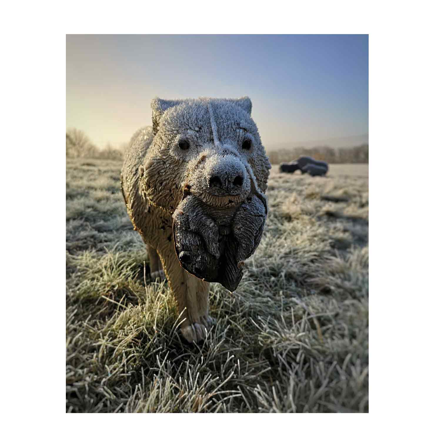 Rinehart Signature Coyote 3D Target