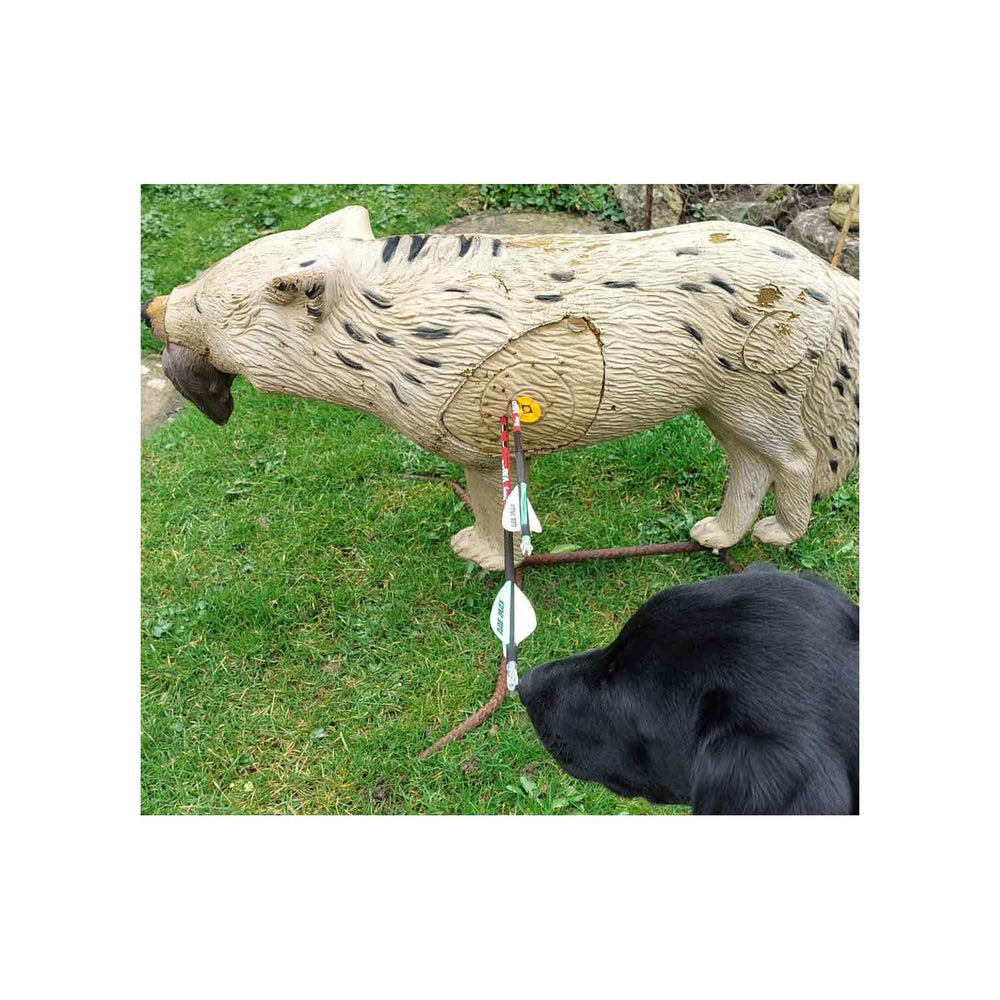 Rinehart Signature Coyote 3D Target