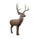 Rinehart Signature Mule Deer 3D Target