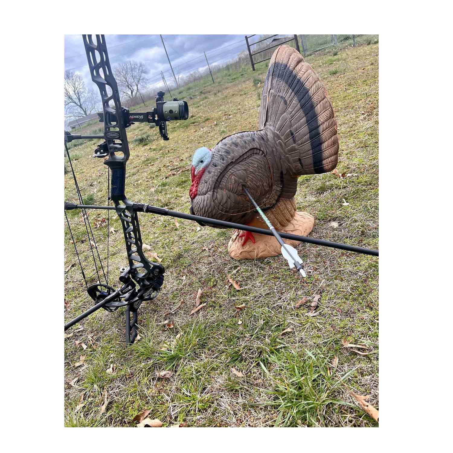 Rinehart Signature Strutting 3D Target