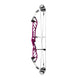 PSE Supra X 37 M2 Compound Target Bow
