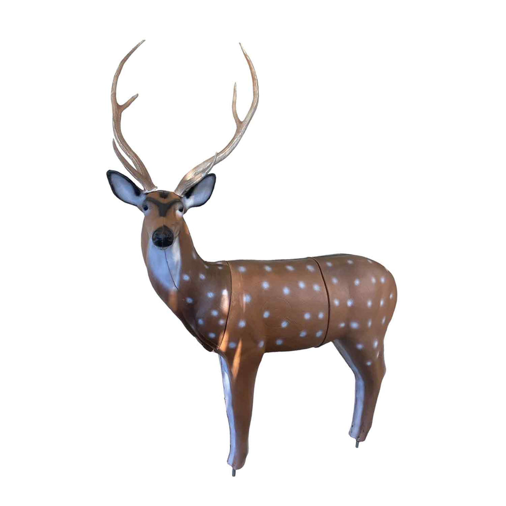 RealWild X-Ray Series Axis Deer 3D Target