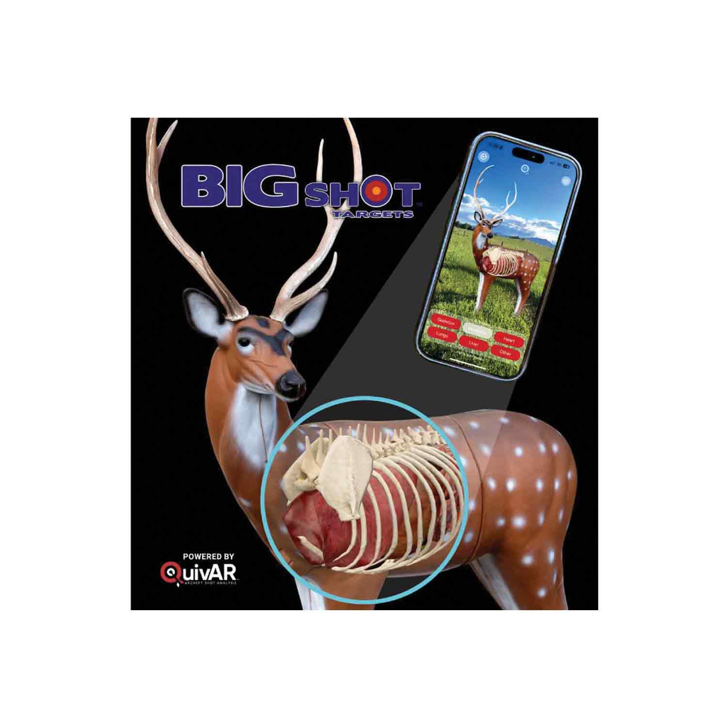 RealWild Axis Deer QuivAR Enabled 3D Target