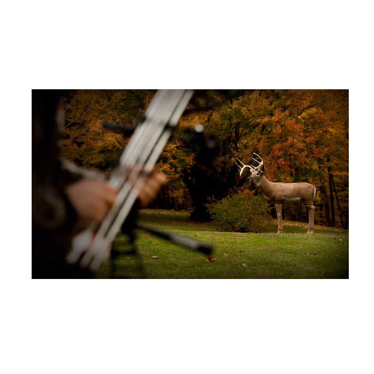 Delta McKenzie Bloodline Deer 3D Target