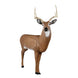 Delta McKenzie Bloodline XL Deer 3D Target