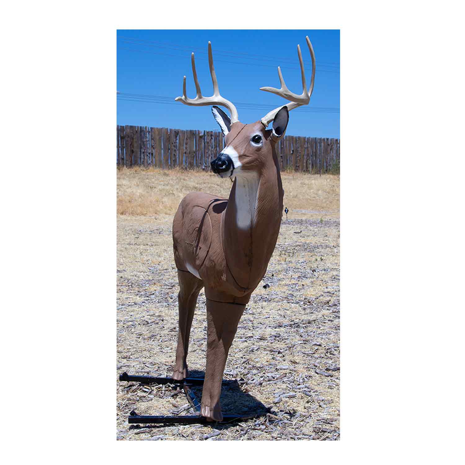 Delta McKenzie Bloodline XL Deer 3D Target