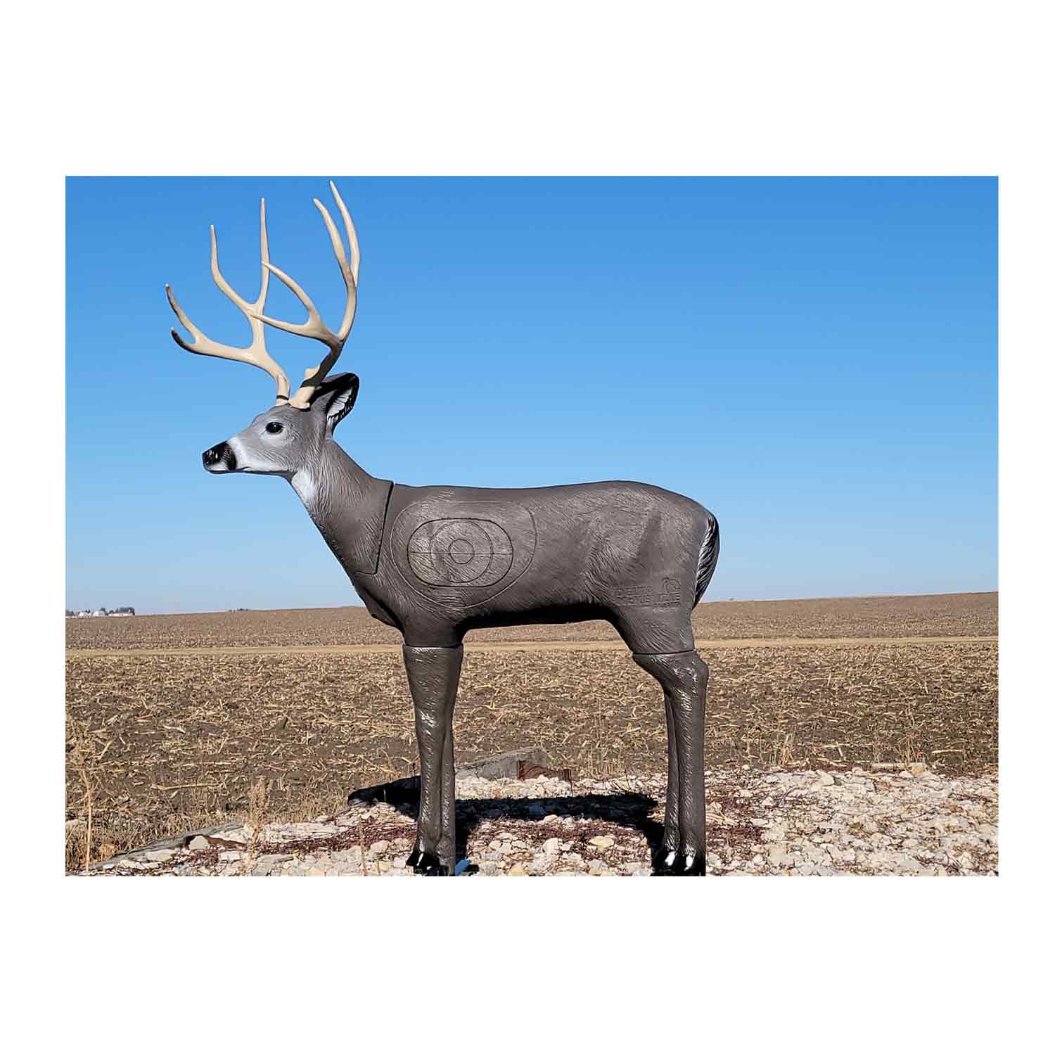 Delta McKenzie Mule Deer 3D Target