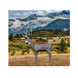 Delta McKenzie Mule Deer 3D Target