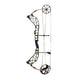 Bear Adapt 2 The Hunting Public Compound Bow
