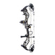 Bear Legend 30 RTH Compound Hunting Bow Package