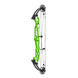 Hoyt Concept X 37 Compound Target Bow with Standard Limbs