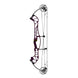 Hoyt Concept X 37 Compound Target Bow with Standard Limbs