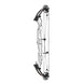 Hoyt Concept X 37 Compound Target Bow with Standard Limbs