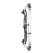 Hoyt Concept X 37 Compound Target Bow with High Gloss Limbs