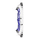 Hoyt Concept X 37 Compound Target Bow with High Gloss Limbs