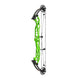Hoyt Concept X 37 Compound Target Bow with High Gloss Limbs