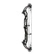 Hoyt Concept X 37 Compound Target Bow with High Gloss Limbs