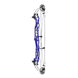 Hoyt Concept X 40 Compound Target Bow with High Gloss Limbs