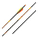 Black Eagle Spartan V2 Fletched Arrows (.001)