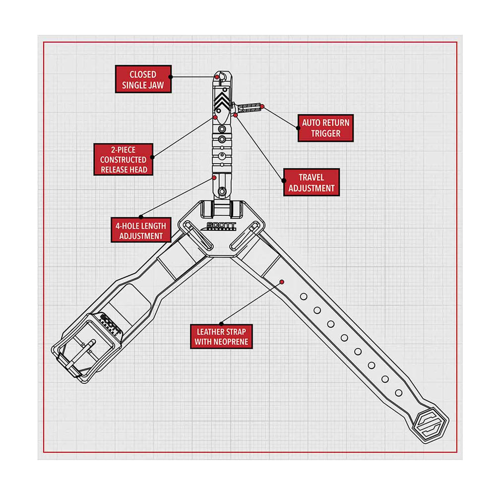 Scott Little Goose RTS Release