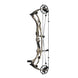 Hoyt Carbon RX-9 Ultra Compound Hunting Bow