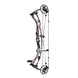 Hoyt Carbon RX-9 Ultra Compound Hunting Bow