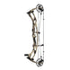 Hoyt Carbon RX-9 Ultra Compound Hunting Bow