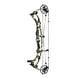 Hoyt Carbon RX-9 Ultra Compound Hunting Bow