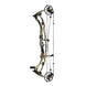 Hoyt Carbon RX-9 Ultra Compound Hunting Bow