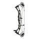 Hoyt Carbon RX-9 Ultra Compound Hunting Bow