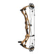 Hoyt Carbon RX-9 SD Compound Hunting Bow