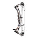 Hoyt Carbon RX-9 SD Compound Hunting Bow