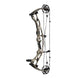 Hoyt Carbon RX-9 SD Compound Hunting Bow