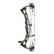 Hoyt Carbon RX-9 SD Compound Hunting Bow