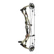 Hoyt Carbon RX-9 SD Compound Hunting Bow