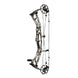 Hoyt Alpha AX-2 32 Compound Hunting Bow