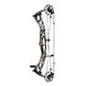 Hoyt Alpha AX-2 32 Compound Hunting Bow