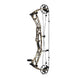 Hoyt Alpha AX-2 32 Compound Hunting Bow
