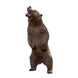 Rinehart Kodiak Grizzly Bear 3D Target