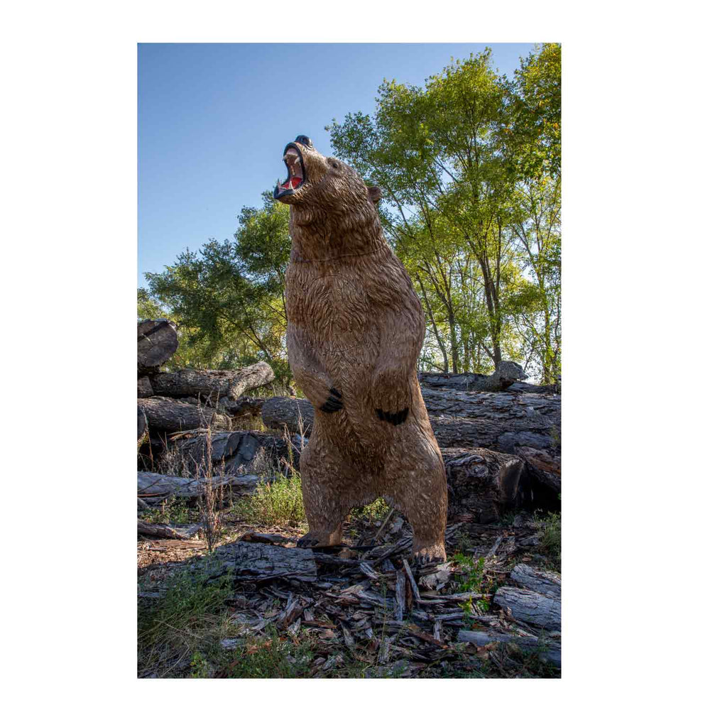 Rinehart Kodiak Grizzly Bear 3D Target