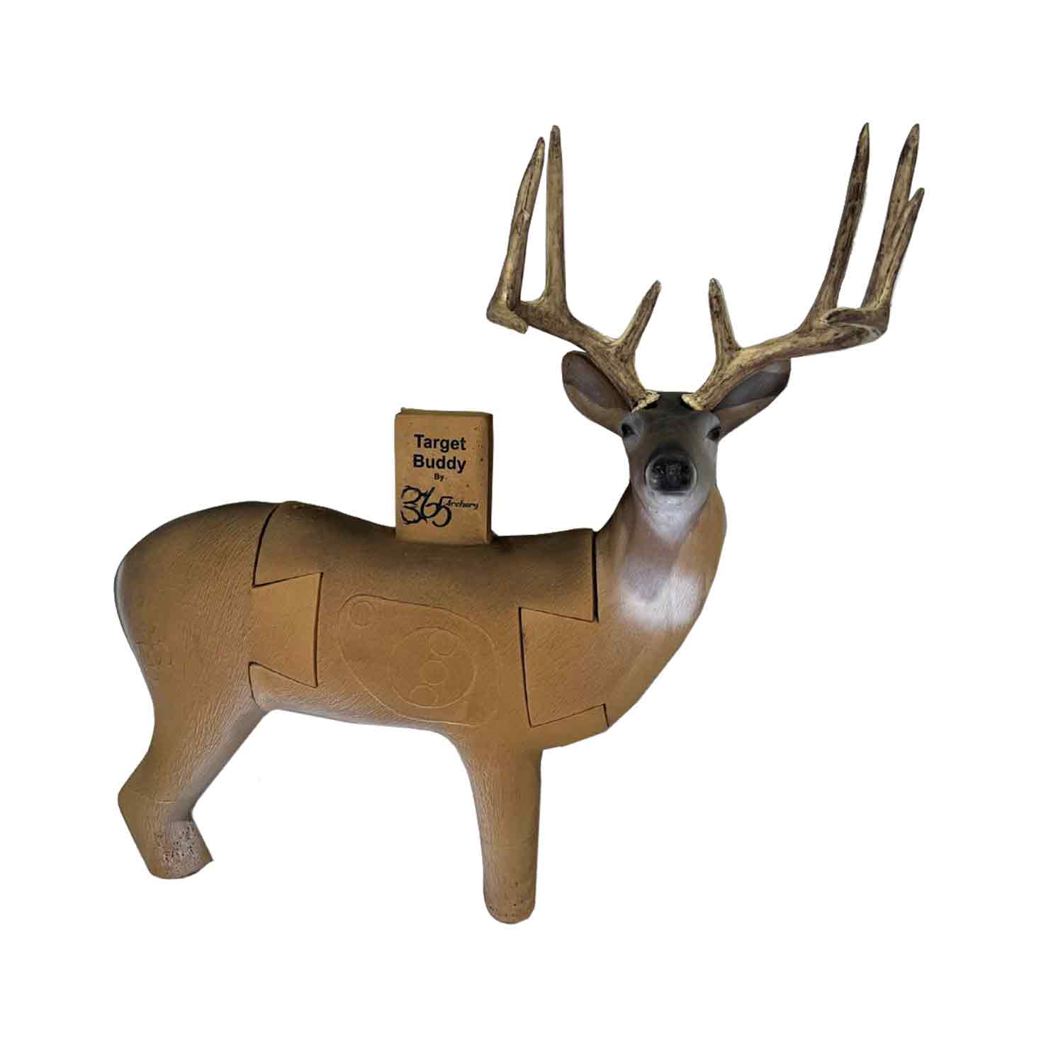 365 Archery Target Buddy 3D Whitetail Target